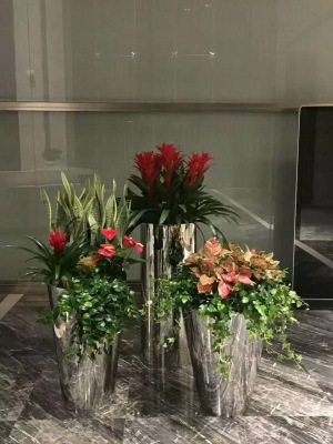 開(kāi)花植物